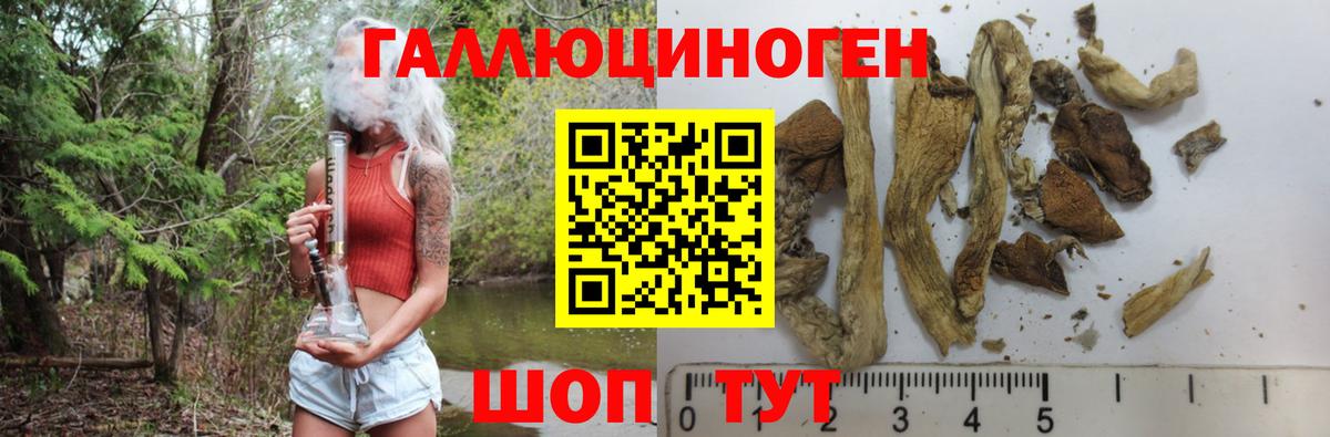 Псилоцибиновые грибы мицелий Моздок