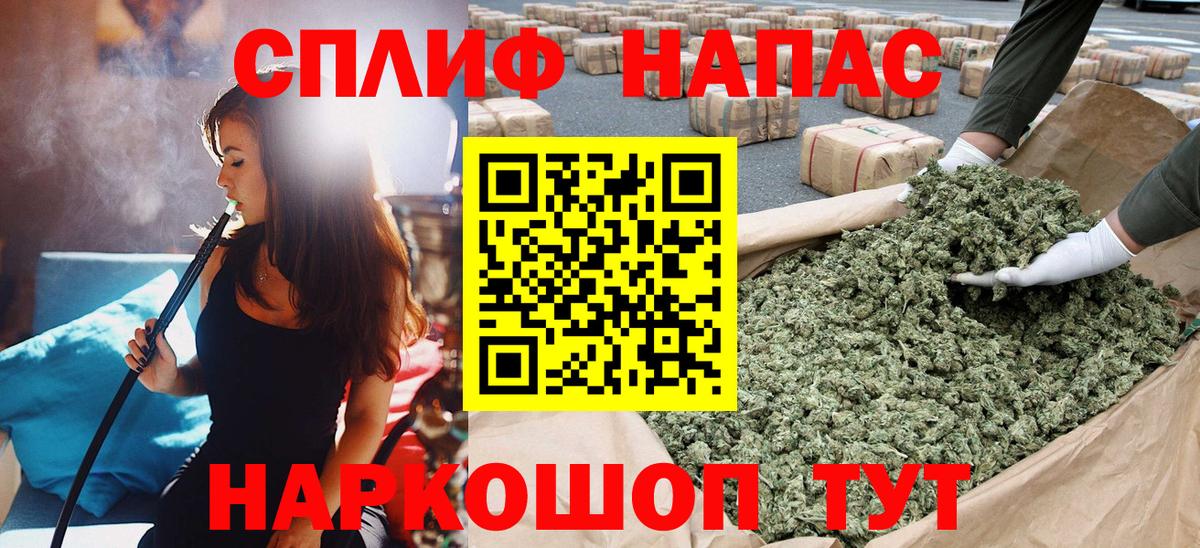 Конопля семена  МАРИХУАНА план  Моздок  Вход с VPN  Марихуана Amnesia 